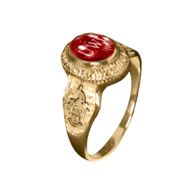 uwirings mona v2_gold contemporary_1